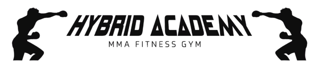 Hybrid Academy
